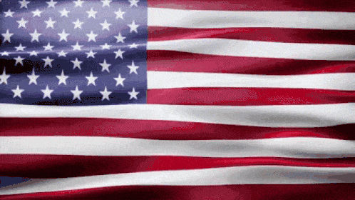 flags gif